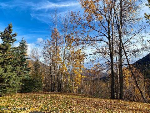 19265 Sullins Dr, Chugiak, AK 99567 photo 12