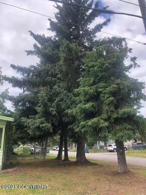 3902 Harding Dr, Anchorage, AK 99517 photo 8