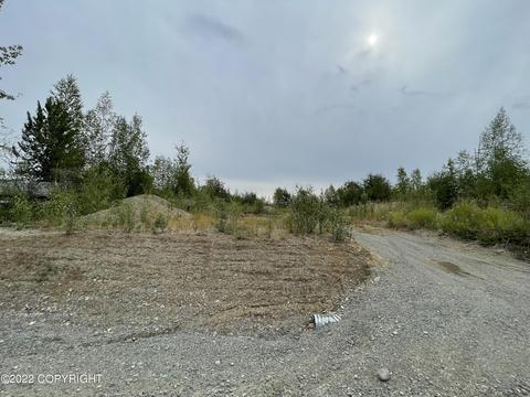2021 Birch Lake Dr, Big Lake, AK 99652