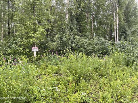12985 Barrington Loop, Willow, AK 99688 photo 1
