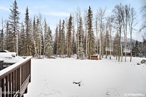 25356 Mcintyre Rd, Eagle River, AK 99577 photo 36