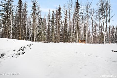 25356 Mcintyre Rd, Eagle River, AK 99577 photo 37