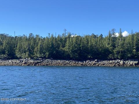 lot18 E Channel Pennock Is, Ketchikan, AK 99901