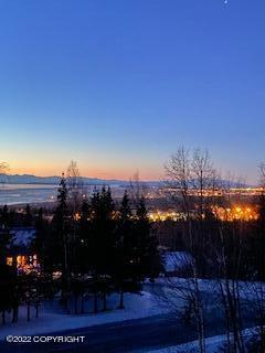 6001 E 162nd Ave, Anchorage, AK 99516 photo 41