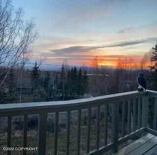 6001 E 162nd Ave, Anchorage, AK 99516 photo 42