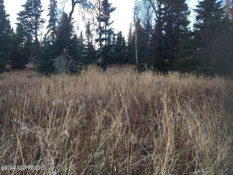 L48 Palmer Family Lane, Ninilchik, AK 99639