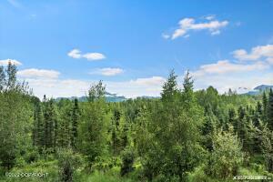 3911 Hampton Dr # 2C, Anchorage, AK 99504 photo 28