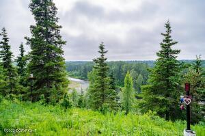 17315 Todd Rd, Ninilchik, AK 99639 photo 7