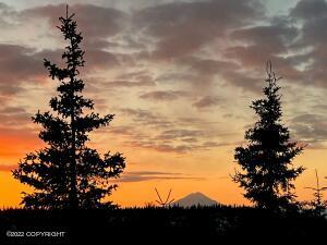 17355 Todd Rd, Ninilchik, AK 99639 photo 16