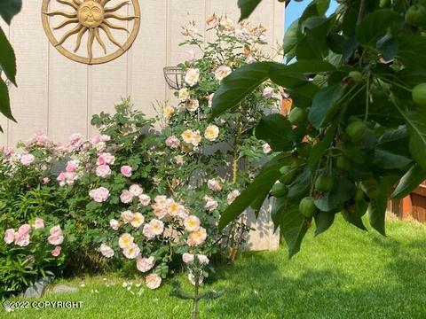 2848 Morgan Loop, Anchorage, AK 99516 photo 49