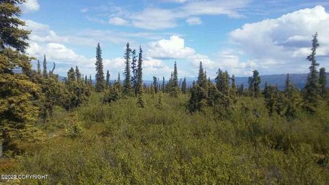 Tr 14 S Timber Wolf Road, Remote, AK 99674
