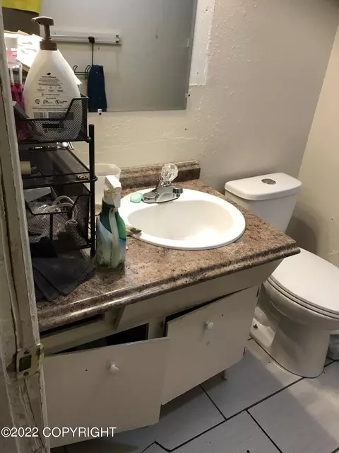 420 E 45th Ave, Anchorage, AK 99503 photo 11