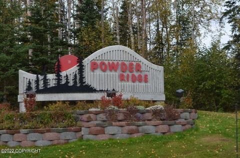 16187 Rosenburg Cir, Eagle River, AK 99577 photo 49