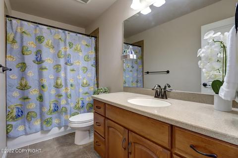 11399 Tulin Park Loop, Anchorage, AK 99516 photo 25