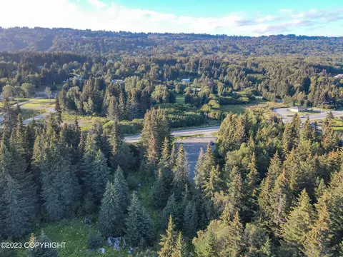 1285 End Rd, Homer, AK 99603 photo 8