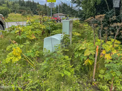 1285 End Rd, Homer, AK 99603 photo 5