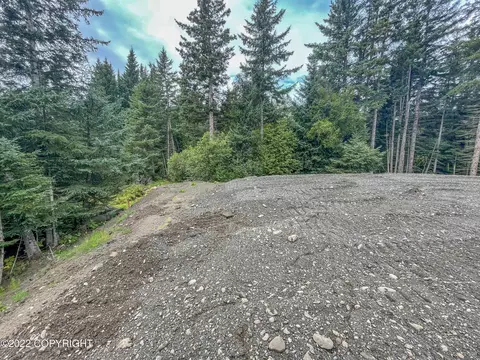 1285 End Rd, Homer, AK 99603 photo 4