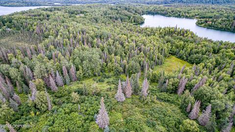 L2-5 Barbara Drive, Nikiskinorth Kenai, AK 99635