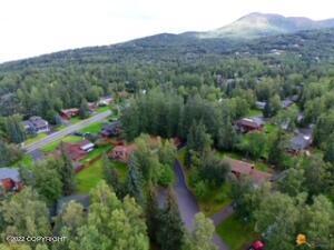 10645 Oshetna Cir, Eagle River, AK 99577 photo 66