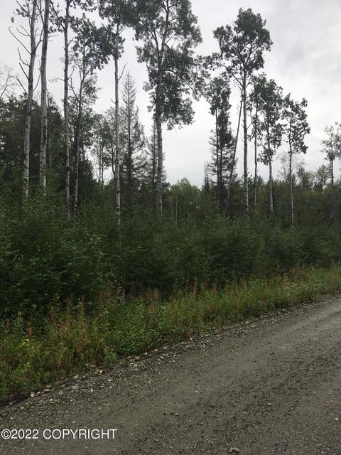 4347 N Sandhill Crane St, Wasilla, AK 99654