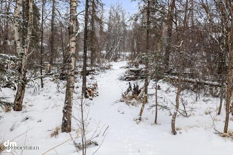 7598 E Riparian Loop, Palmer, AK 99645 photo 56