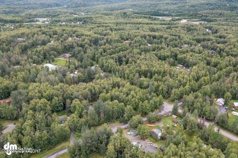 21223 Jayhawk Dr, Chugiak, AK 99567 photo 69