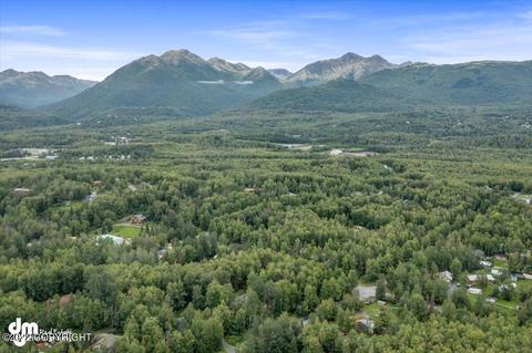 21223 Jayhawk Dr, Chugiak, AK 99567 photo 68