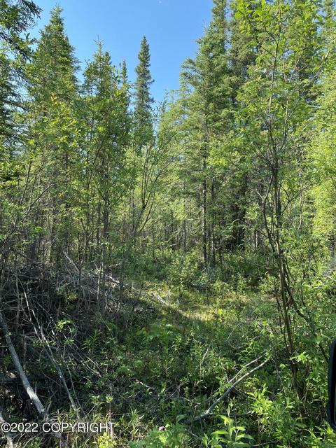 000 S Woodcock Rd, Copper Center, AK 99573