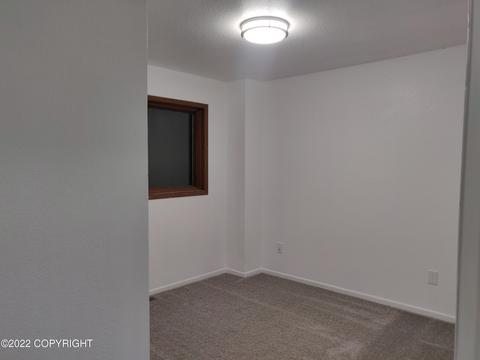 324 E Dowling Rd # 03, Anchorage, AK 99518 photo 14