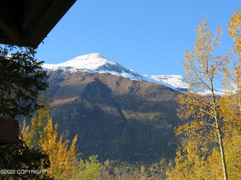 33017 Cumulus Rd, Eagle River, AK 99577 photo 10