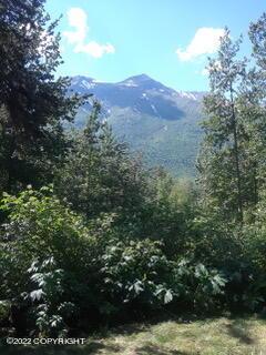 33017 Cumulus Rd, Eagle River, AK 99577 photo 9
