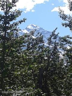 33017 Cumulus Rd, Eagle River, AK 99577 photo 6