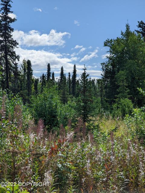 65993 Junction Ave, Anchor Point, AK 99556