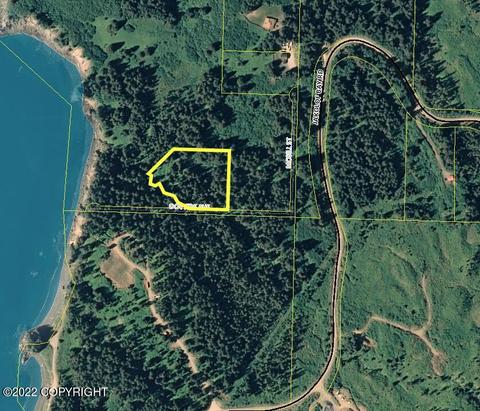 Tract A Dovers Avenue, Seldovia, AK 99663