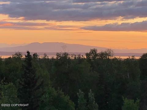 11240 Kaskanak Cir, Eagle River, AK 99577 photo 55