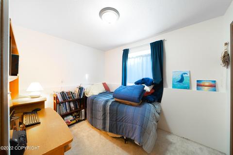 2553 End Rd, Homer, AK 99603 photo 16