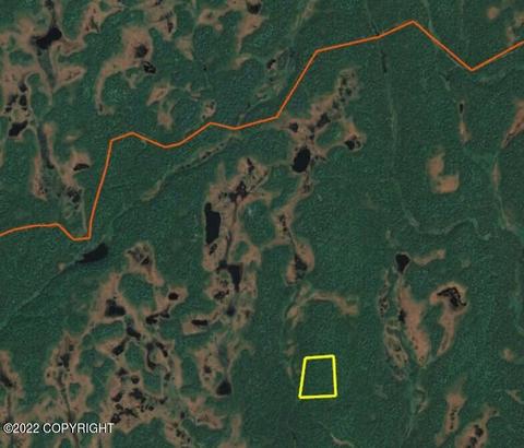 Tr E No Road, Remote, AK 99688 photo 7