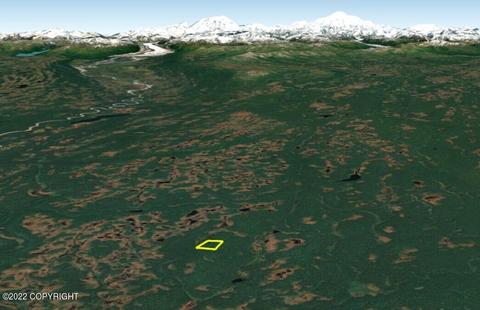 Tr E No Road, Remote, AK 99688 photo 6