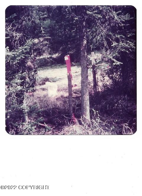 Tr E No Road, Remote, AK 99688 photo 2
