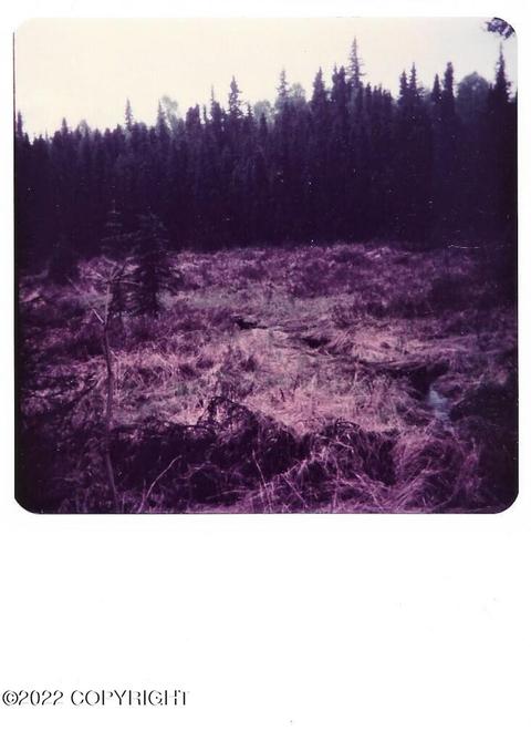 Tr E No Road, Remote, AK 99688 photo 3