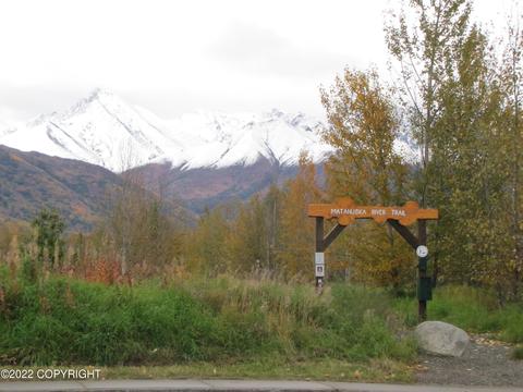 450 Eagle Ave, Palmer, AK 99645 photo 19