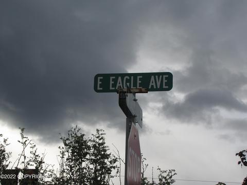 450 Eagle Ave, Palmer, AK 99645 photo 20