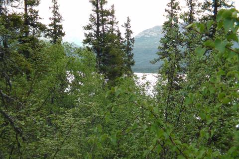 L6-8 B16 Keyes Point, Remote, AK 99653 photo 3