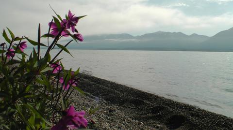 L6-8 B16 Keyes Point, Remote, AK 99653 photo 4
