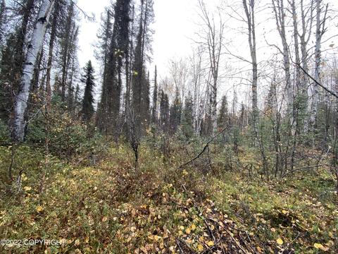 19905 E Spinner Ave, Willow, AK 99688 photo 21