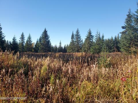 67787 Shavila Rd, Ninilchik, AK 99639