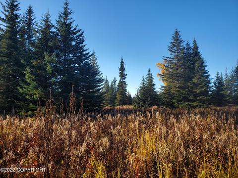 67658 Shavila Rd, Ninilchik, AK 99639