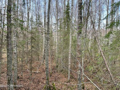 L70 Birch Creek Drive, Chugiak, AK 99567