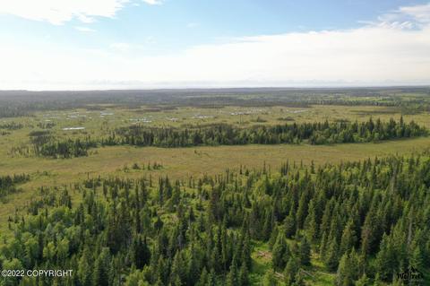 L3b1 Stina Creek, Nikolaevsk, AK 99556
