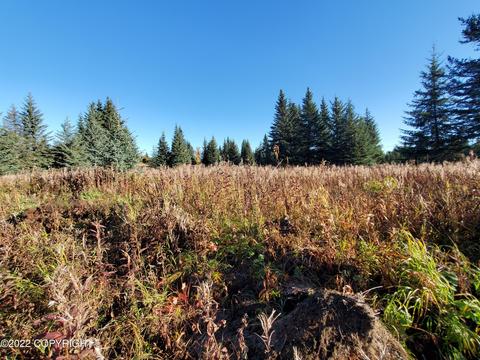 67618 Shavila Rd, Ninilchik, AK 99639